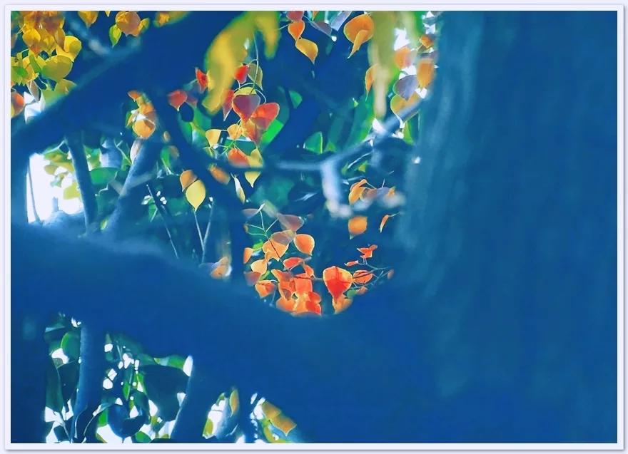 鑹插僵鏋勬垚浼樼浣滃搧,鑹插僵閫犲瀷鎽勫奖鏁欑▼