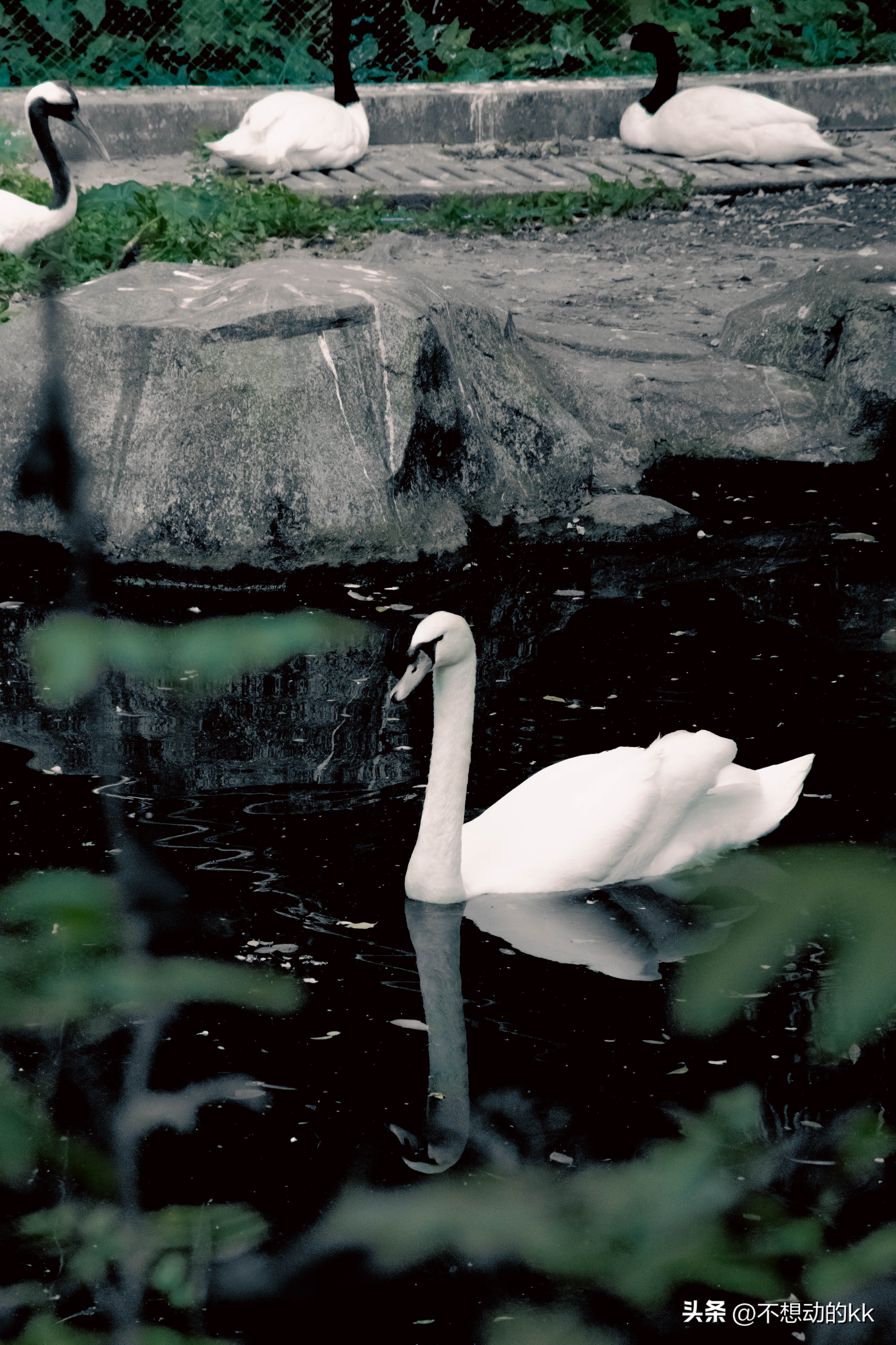 10元门票的广州动物园,广州动物园5元攻略