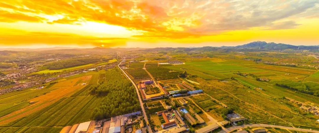 大连金普新区在中国排第几,振兴东北发展10大城市