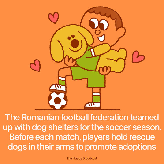 2021年世界各地的40个好消息，在沉重的一年，也能看到一些阳光