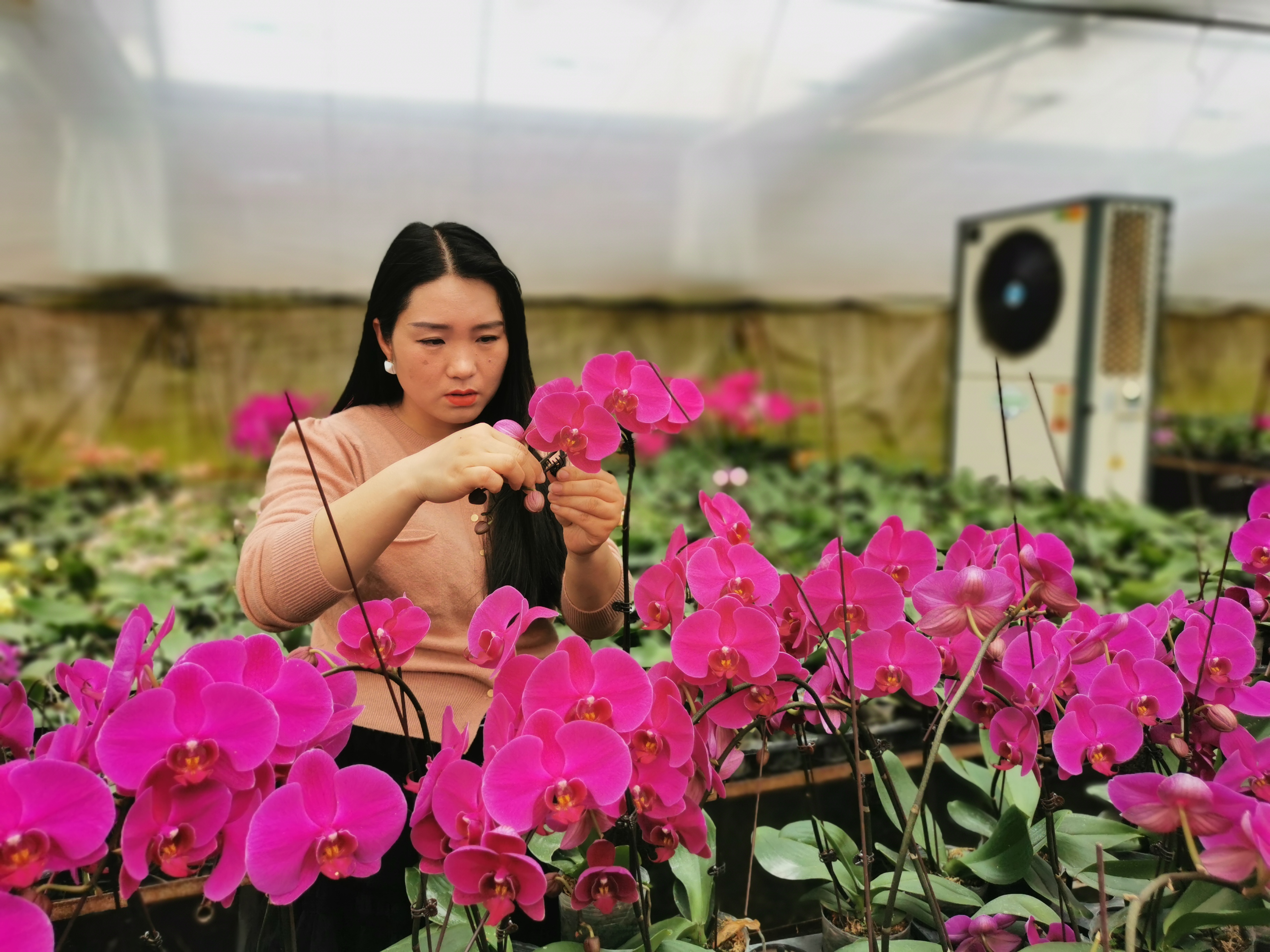 85后女性创业项目,85后女子创业