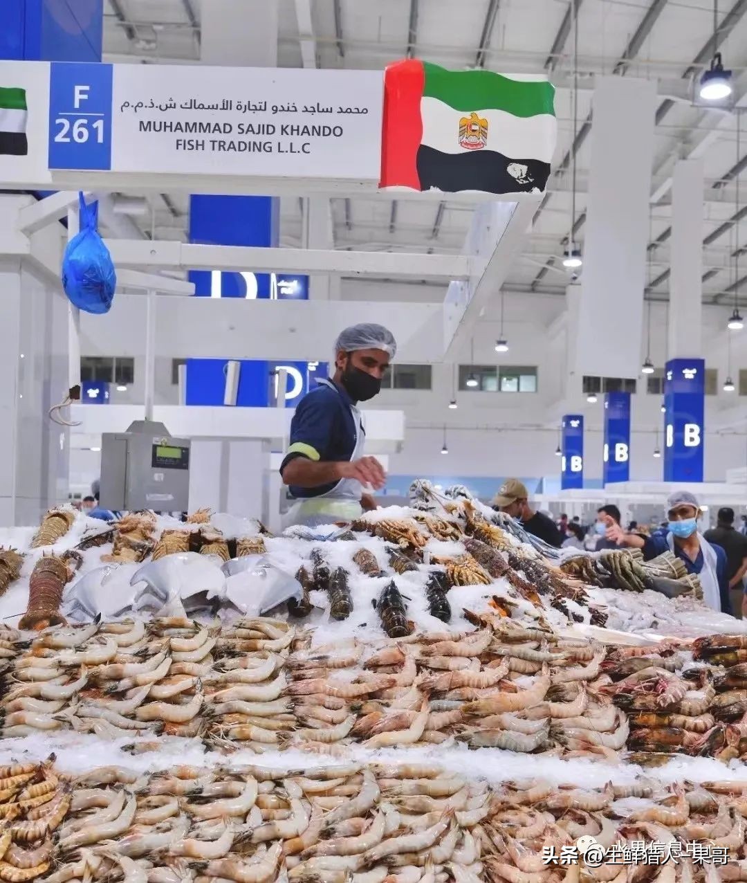 世界第一果蔬批发市场,中国十大果蔬批发市场