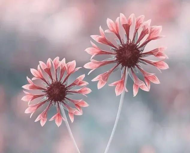 以前的你是心事现在的你是故事,以前是你的心事现在是你的故事