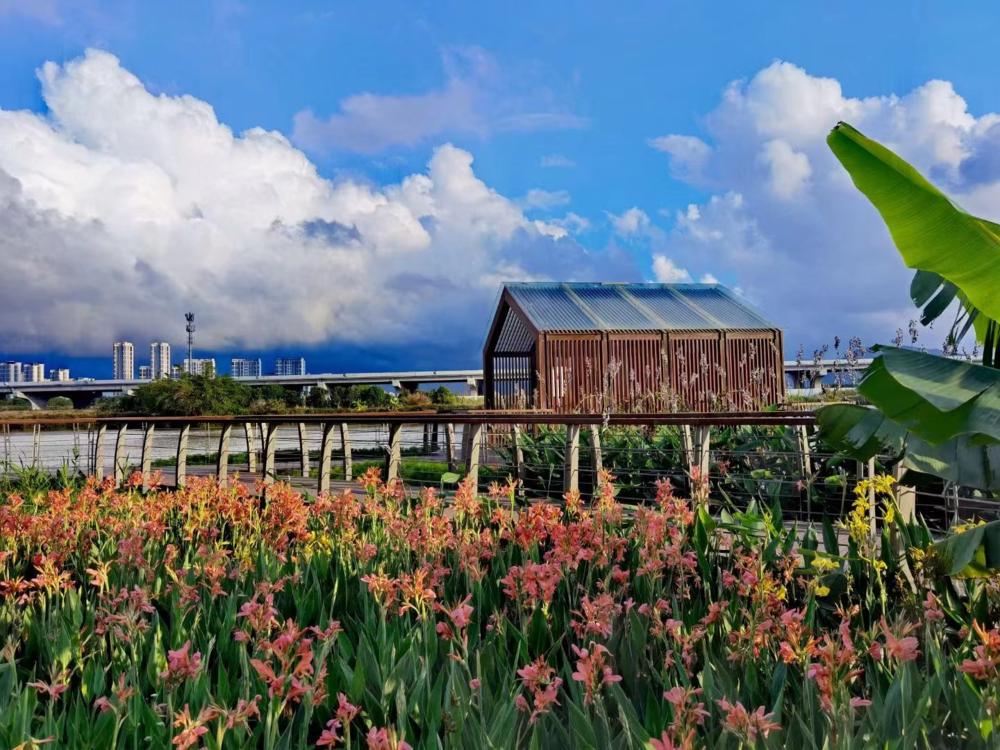 划艇露营,划艇露营视频大全