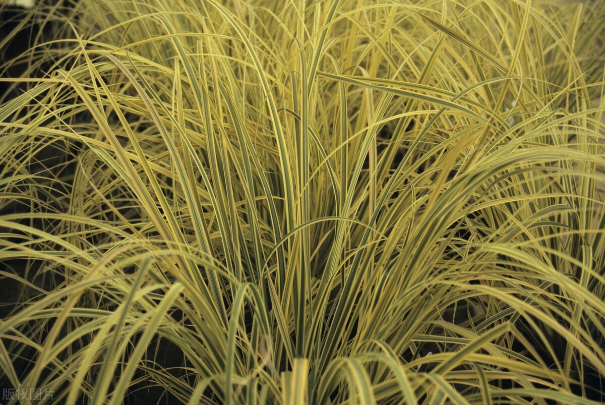 易经能预知未来吗,易经真的可以预知未来吗