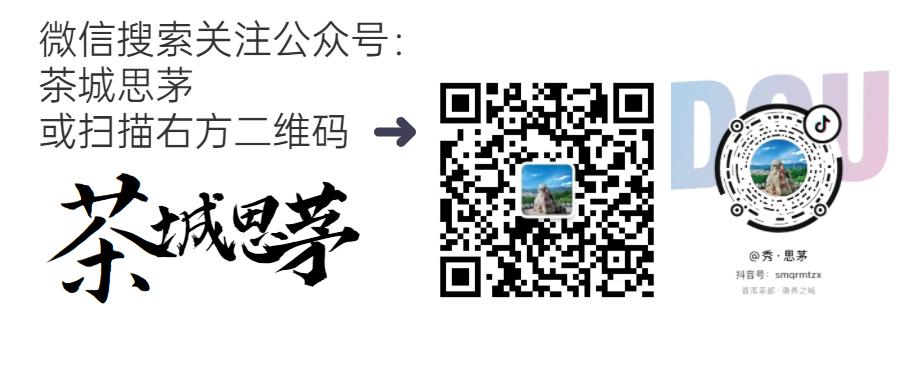网格员协助社区新春送温暖活动,新春走基层温暖的守护者