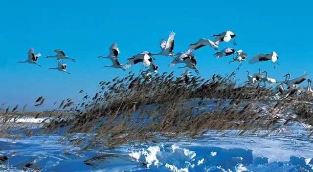 吉林市好玩的景点排名,吉林省旅游十大必去景区