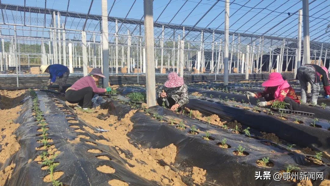 为啥这么火？鄂州一群人为TA分分必争…