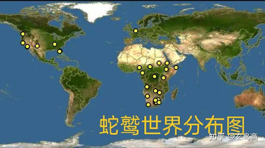 山海经2012白话全译彩图版pdf,山海经海外西经是指哪里