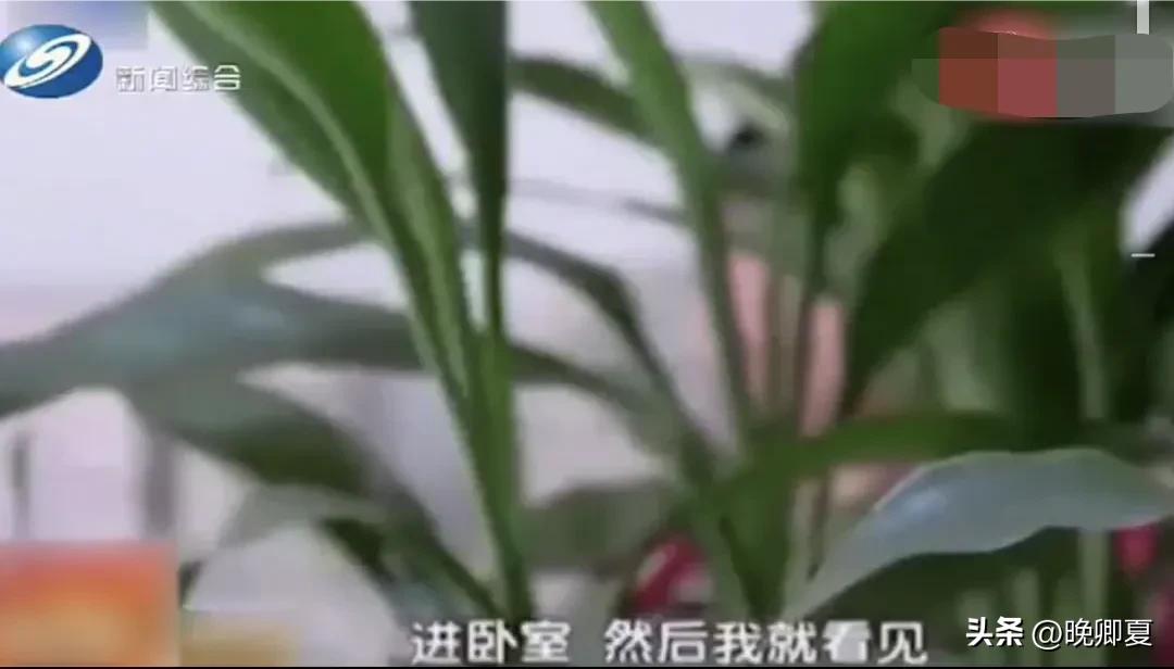 父亲侵犯到儿子的权益,父亲侵害自己的孩子能原谅吗