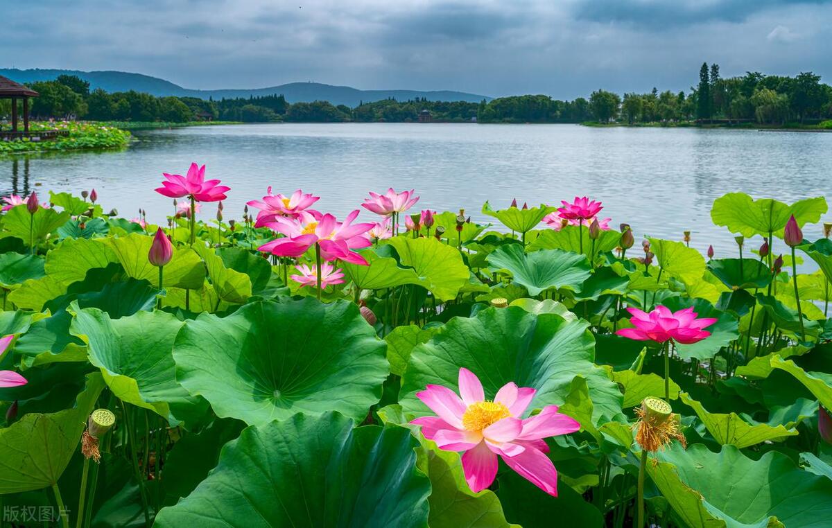 苏州这座城市怎么样,苏州最值得去哪个区