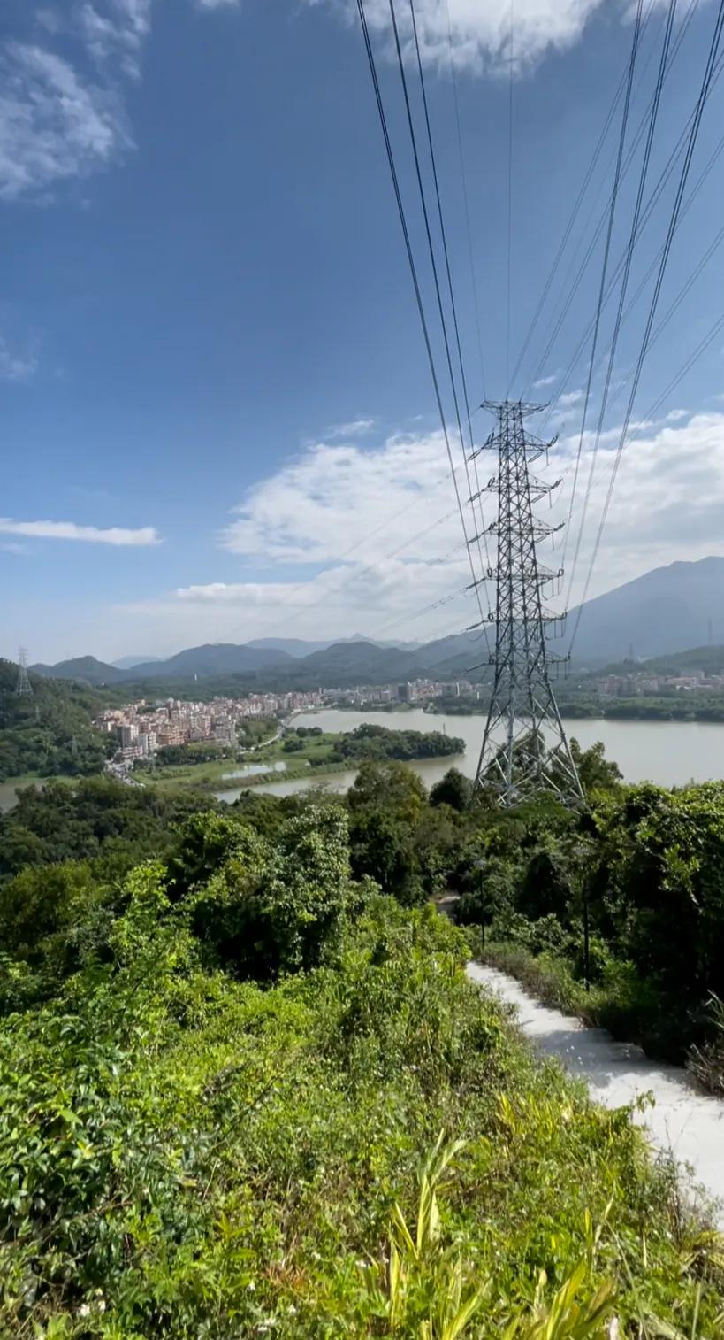 安家深圳视频,深圳樟树布