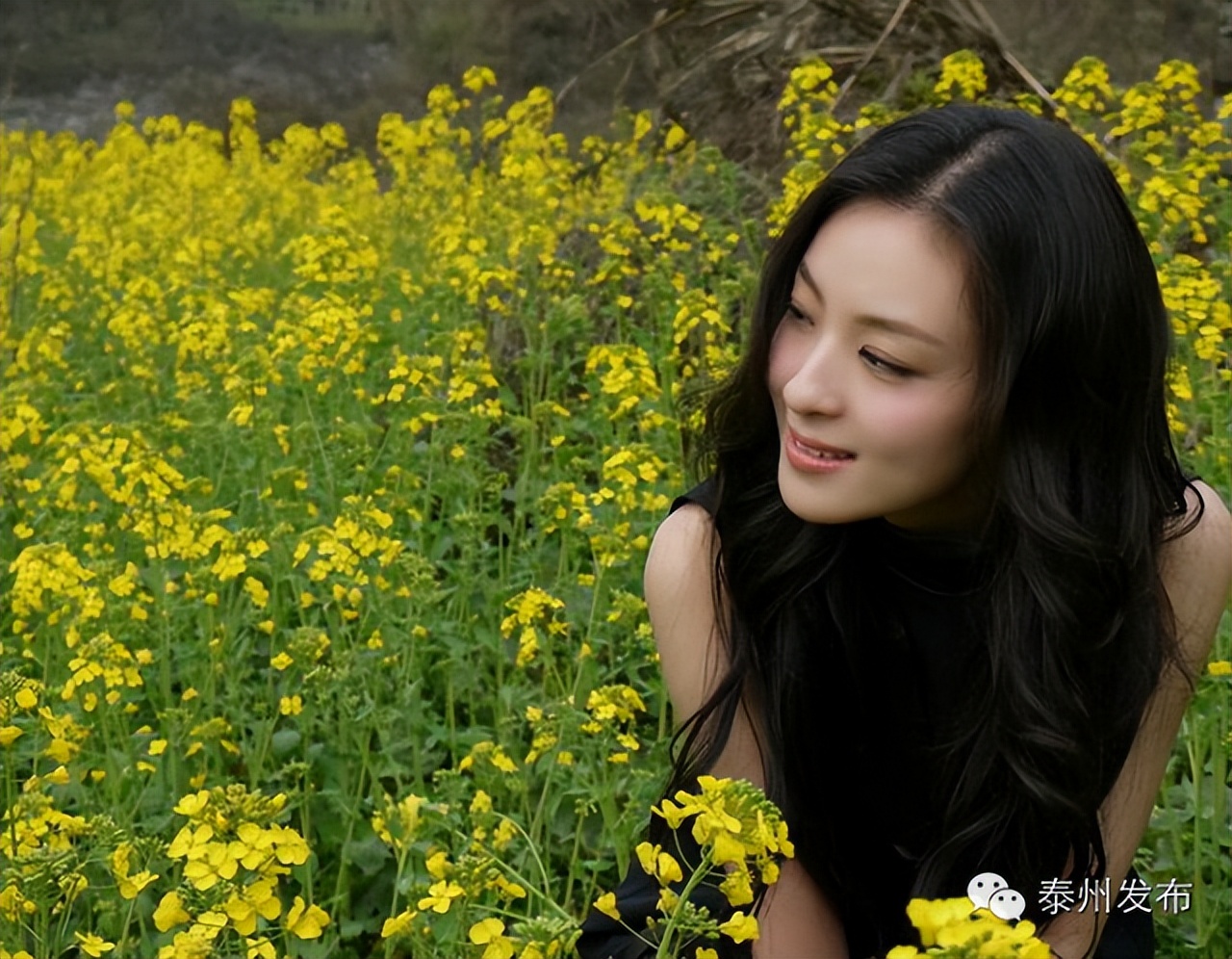 泰州最有名的明星,泰州的女明星有哪些