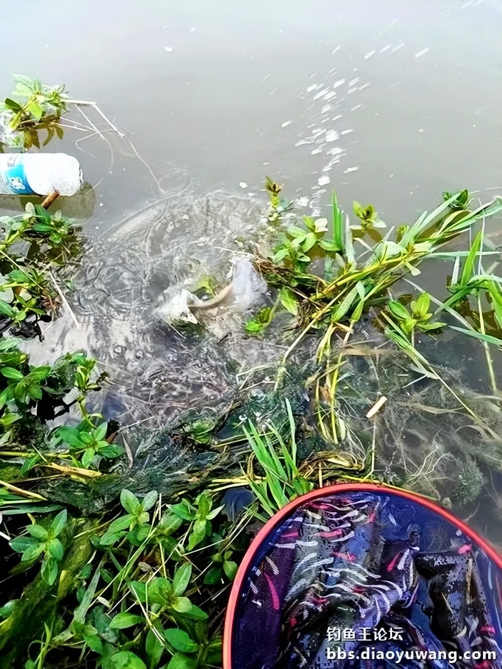 双铅钓流水要用吃铅大的漂吗,双铅跑铅真的抗流水吗