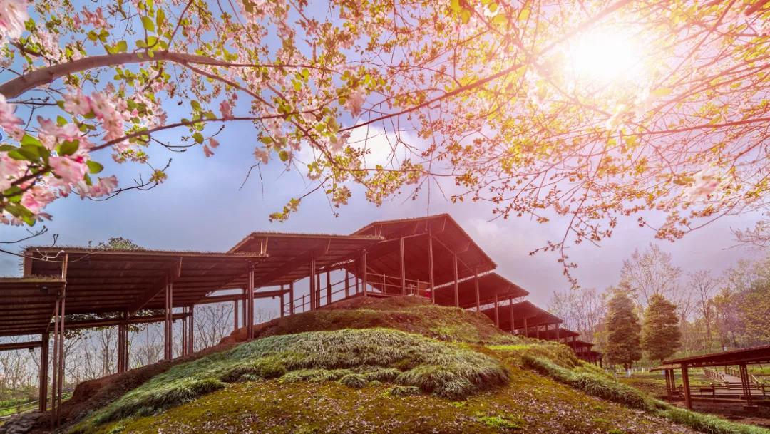 西昌特种兵式旅游攻略,邛崃旅游一日游