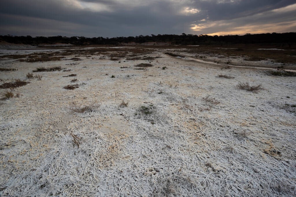 中国大百科全书第1篇内容,中国大百科全书读书笔记