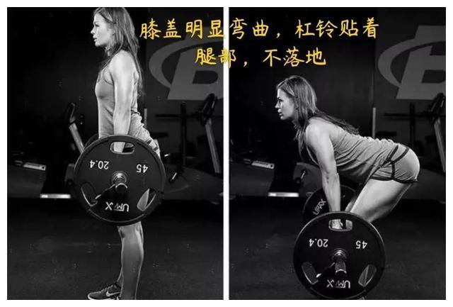 衣服棉与聚酯纤维比例多少最好,聚酯纤维和锦纶的衣服哪个好