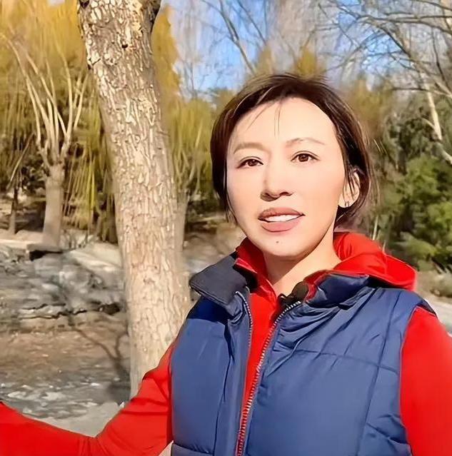 央视至今未婚的八位女主持人,至今未婚11位央视女主持