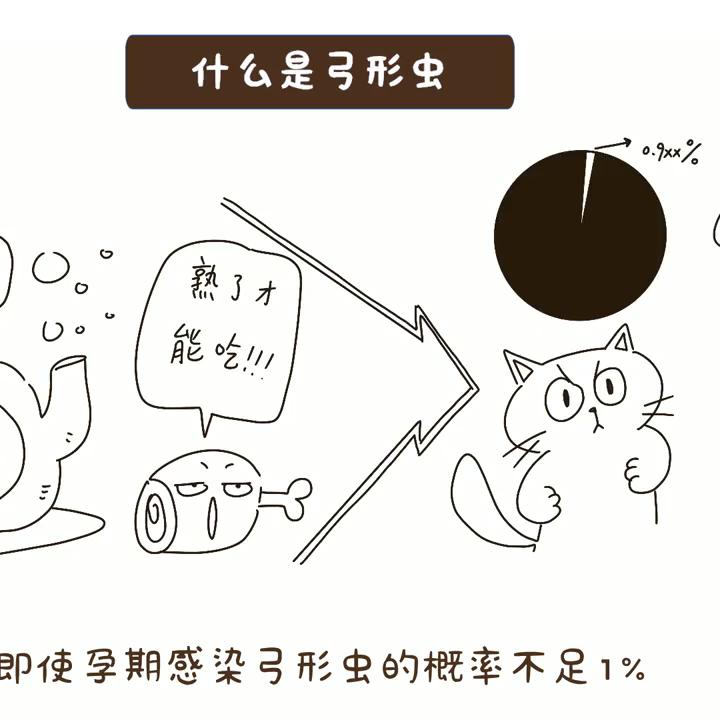 什么是弓形虫病怎么预防,弓形虫是怎么感染猫咪的