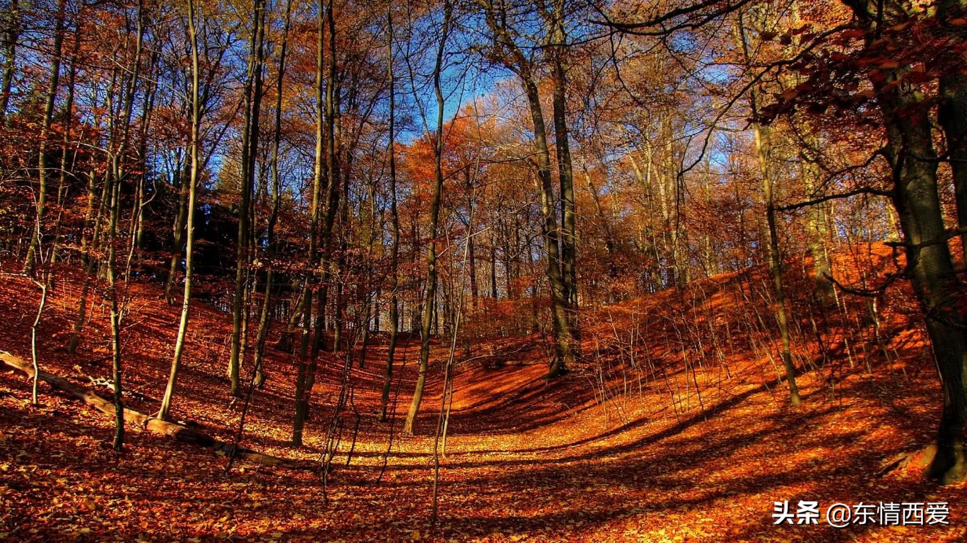 舍不得失去的伤感句子,伤感舍不得的句子