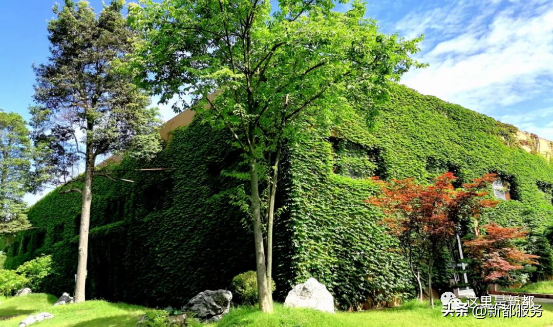 成都新都历史,新都历史