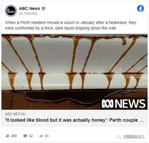 澳洲夫妇家墙壁突然莫名“渗血”!两人鼓起勇气拆开墙