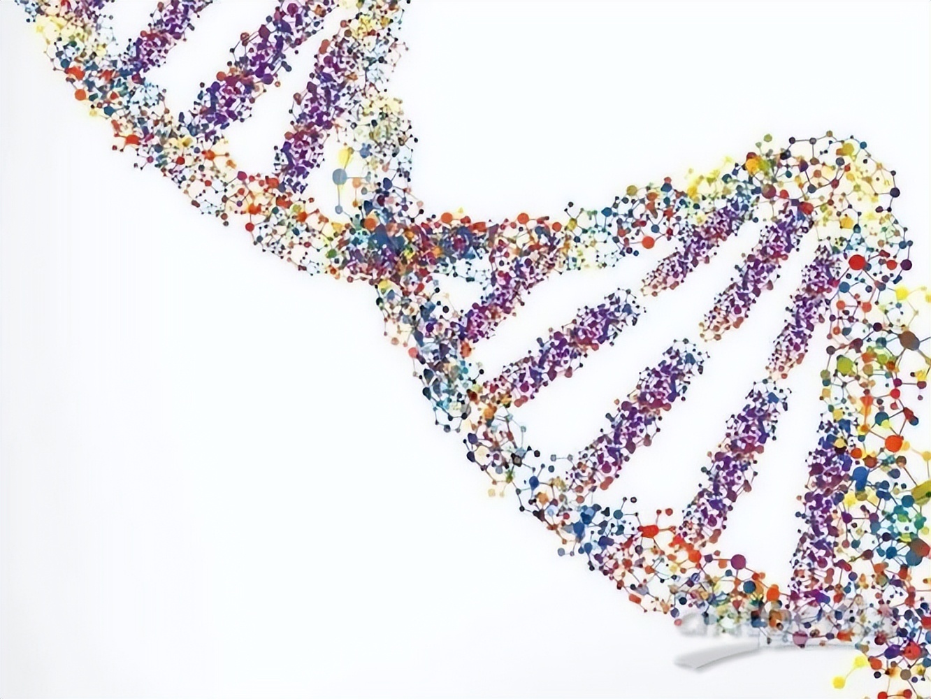 基因组学应用于癌症治疗,基因组学在育种的应用