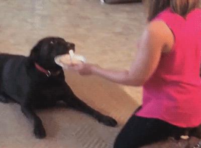 “性取向测试!”如果你看到的是一群人在游泳,那就再仔细看看