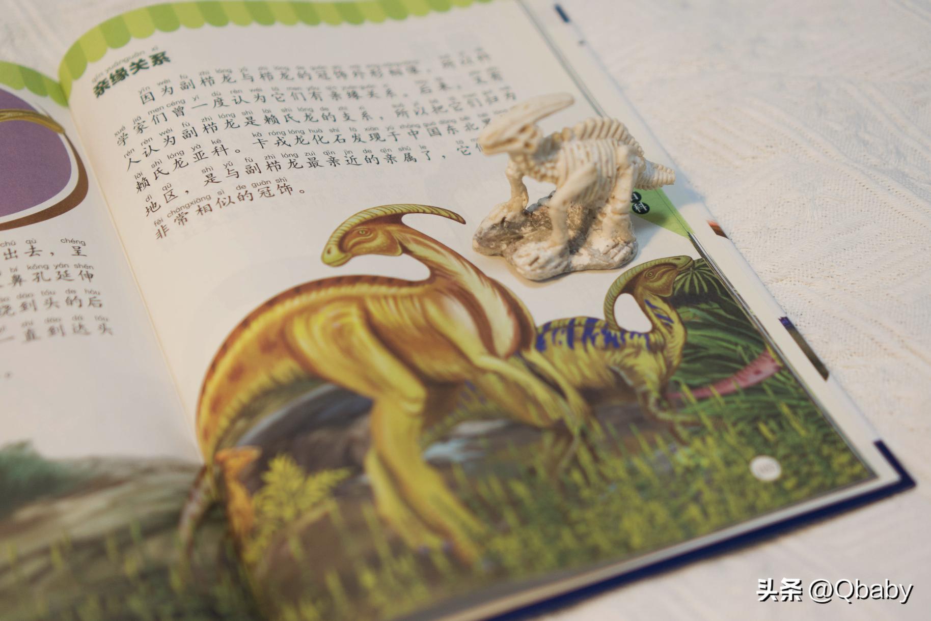 奇趣动物百科书,百科全书稀奇古怪的动物