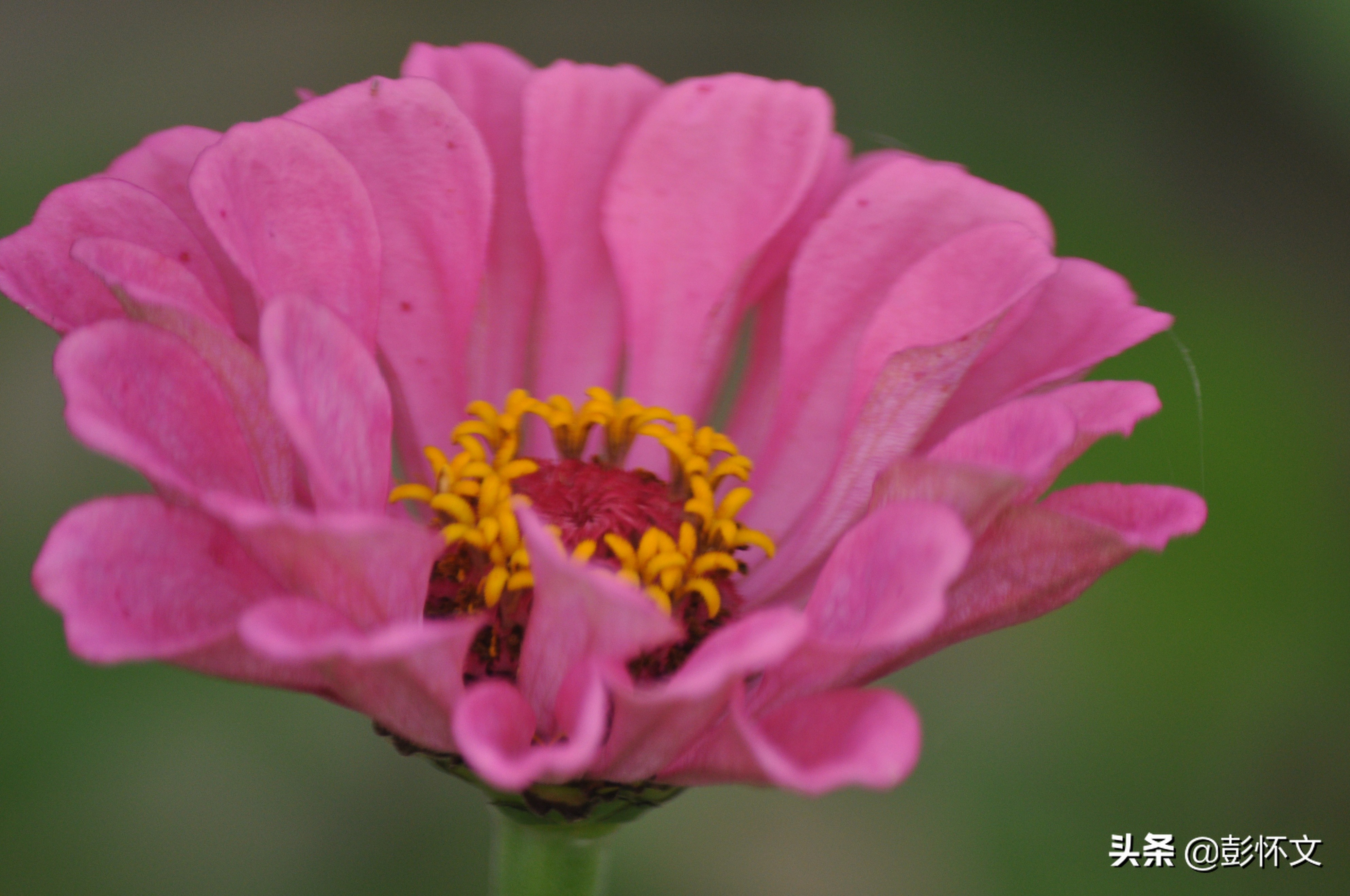 低值易耗品摊销原值怎么做账,企业自己耗用的低值易耗品的摊销