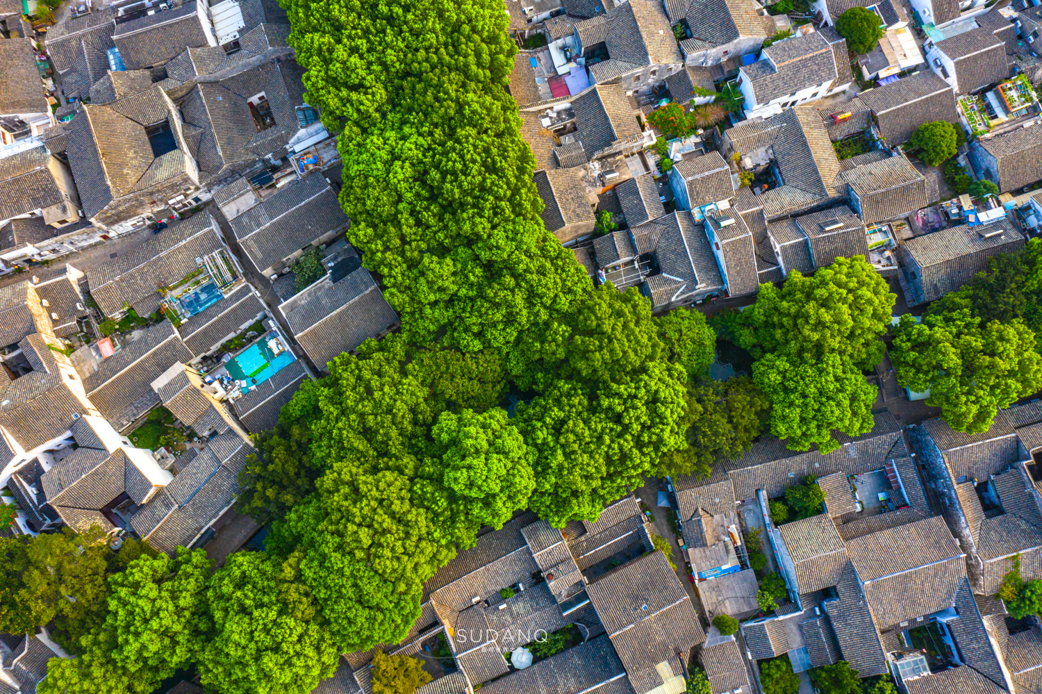 同里古镇为什么叫东方威尼斯,苏州水乡古镇同里