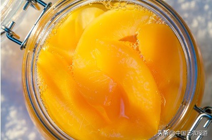 黄桃罐头对发烧有缓解作用吗,如果感冒发烧吃黄桃罐头可以好吗