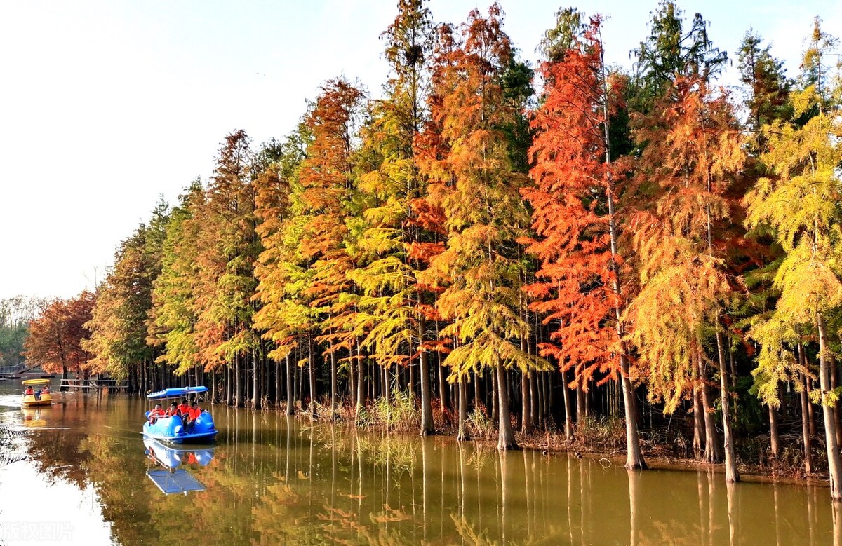 上海游玩免费景点推荐,上海推荐逛的免费景点