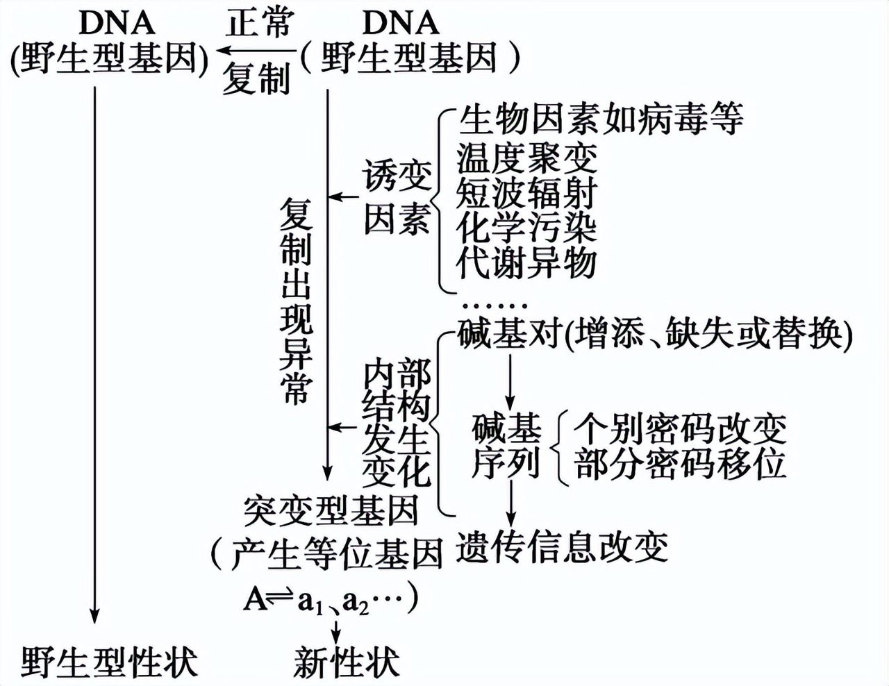 高中生物变异和育种知识点,高中生物变异育种进化思维导图