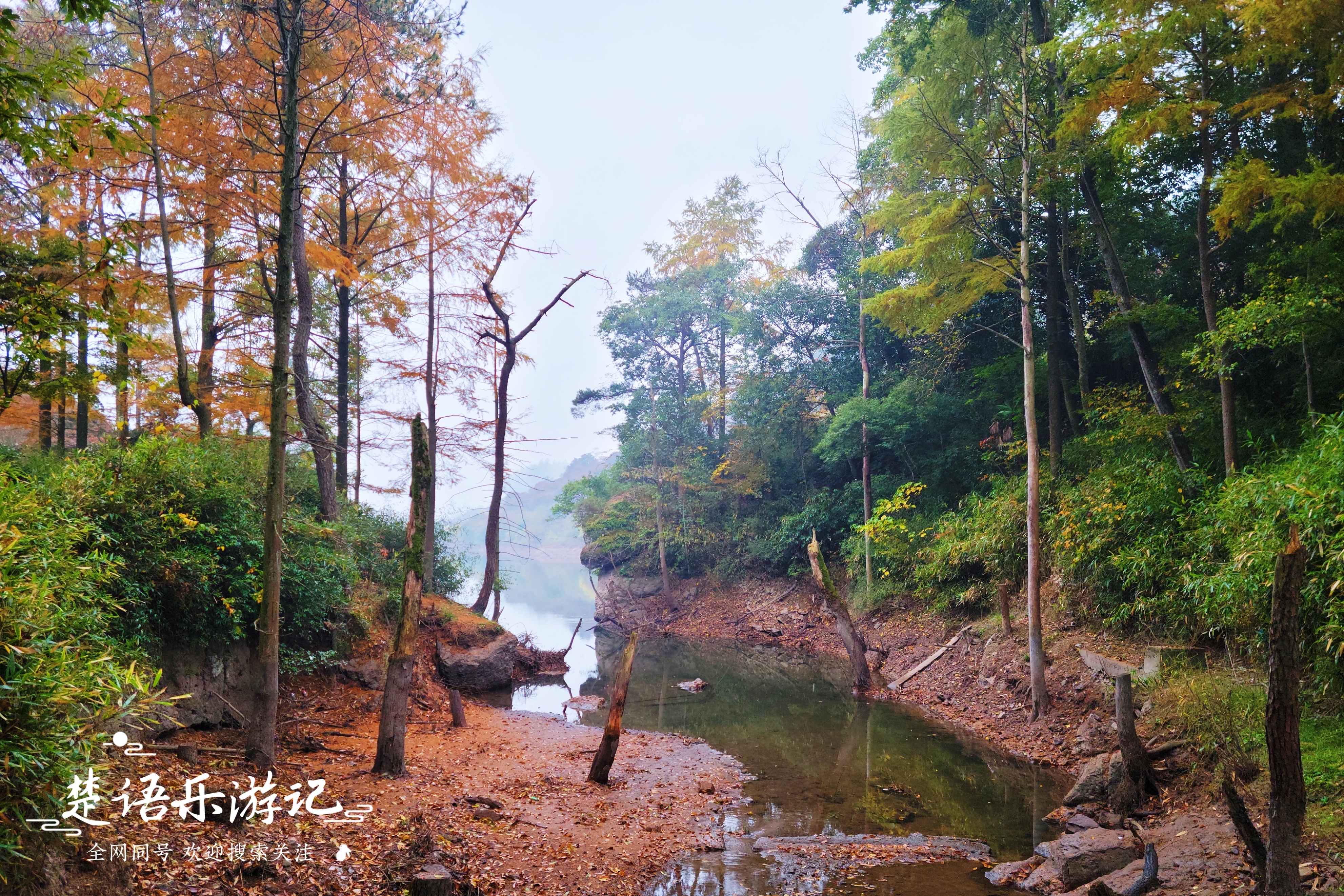 浙江宁波发现一处避世桃源，名字充满传说，景色如画堪称游玩佳地