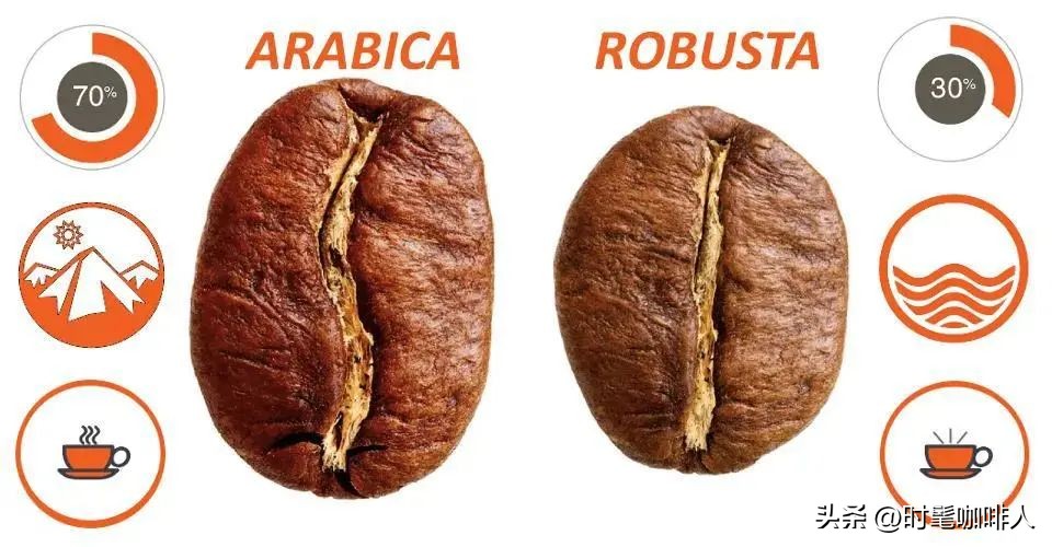 喝速溶不能算“真正的喝咖啡”?