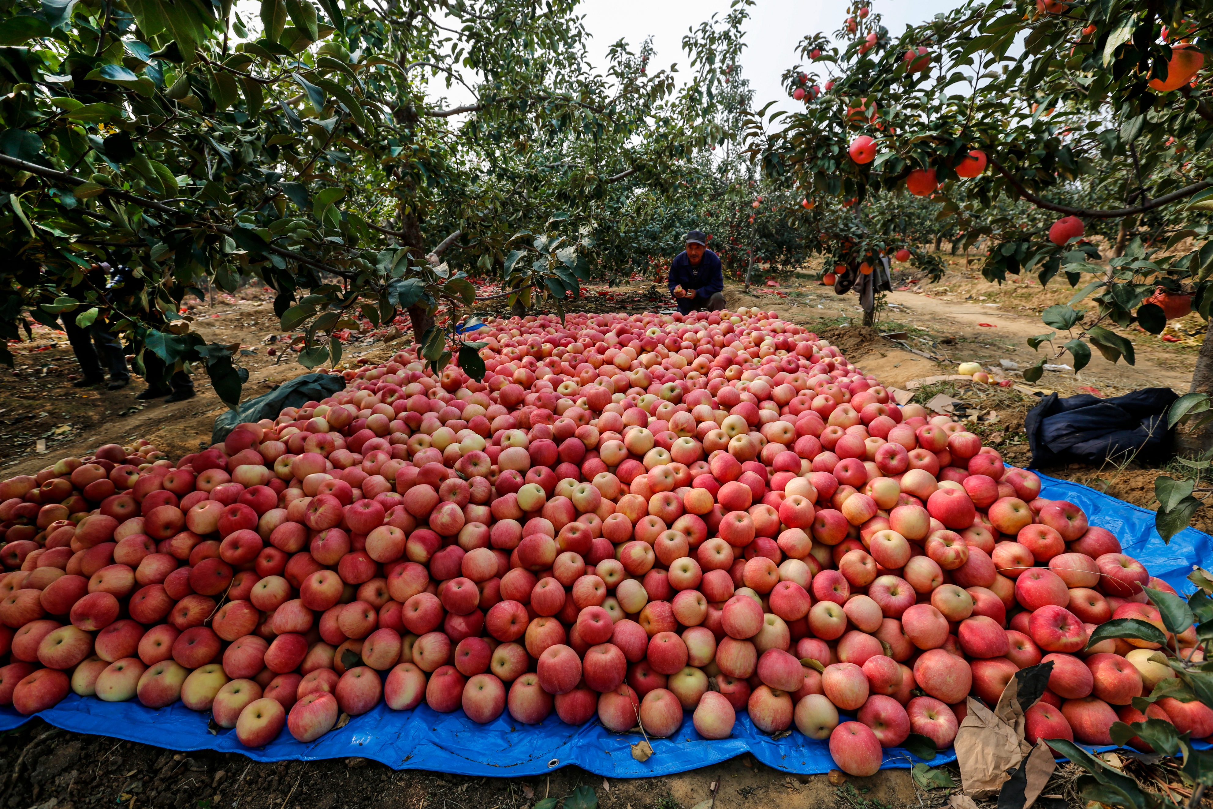 义县最新引资消息,义县招商