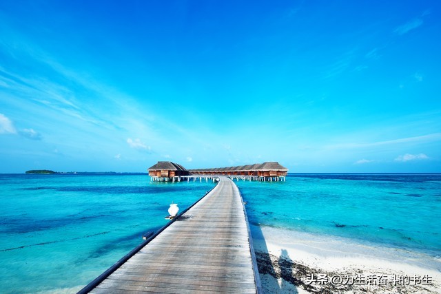 这个夏天必去避暑的地方,夏天旅游必去的十大地方
