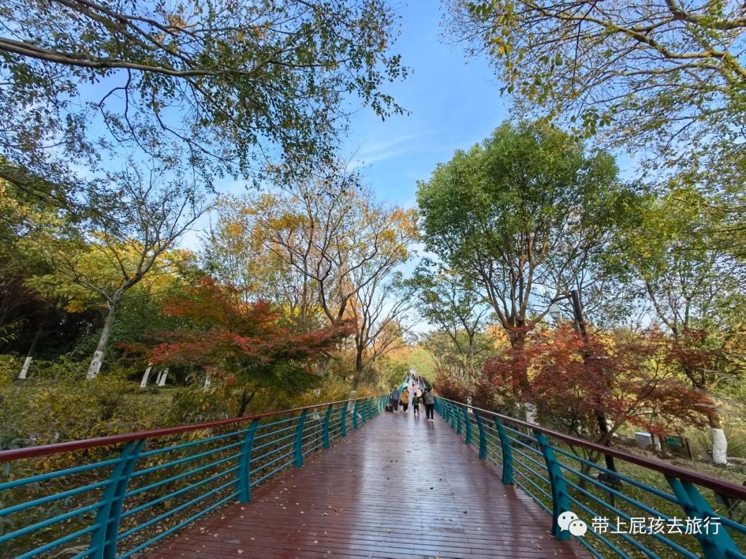 上海超火的日式私汤温泉酒店,上海日式温泉度假