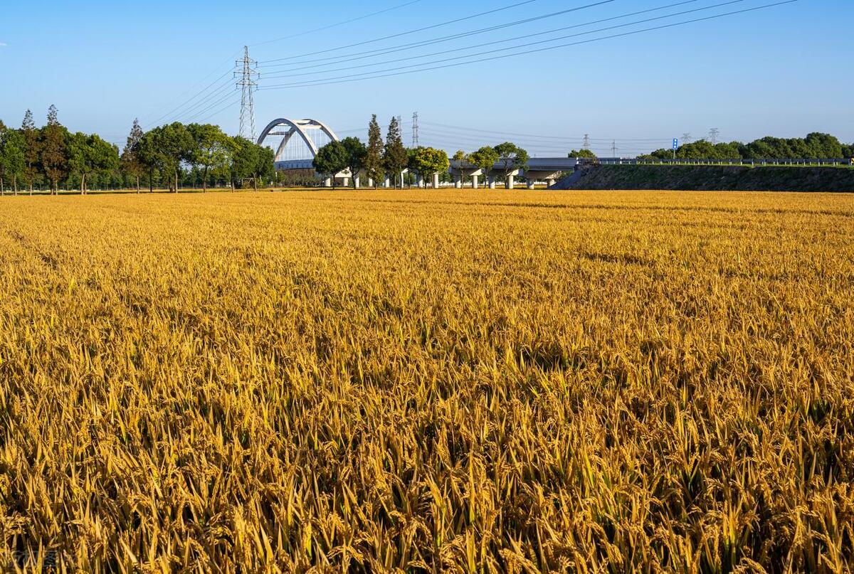 苏州东山十大网红景点,苏州十大诡异景点