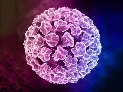 提防hpv打哪个疫苗,提防hpv