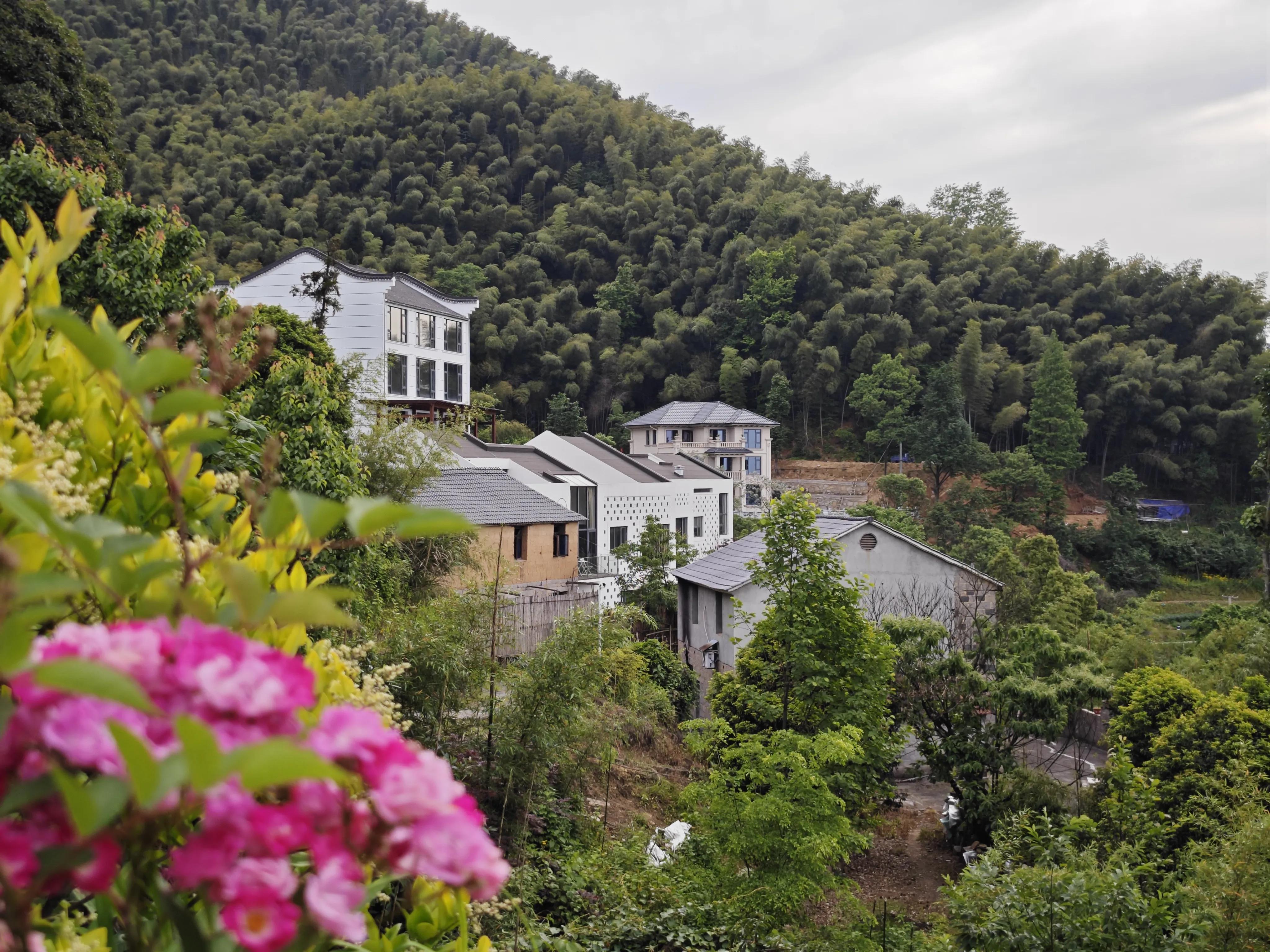 梯田里的绝美民宿欣赏,梯田观景最好的民宿