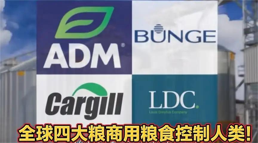 缇庡浗鍥涘ぇ绮晢鐨勭伯椋熸垬,涓編绮鎴樹腑鍌ㄧ伯vs鍥涘ぇ绮晢