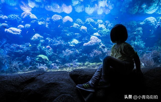 青岛西海岸旅游攻略最佳线路,从青岛出发4-5天旅游攻略