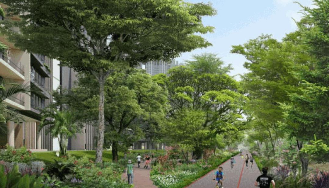 新加坡公寓比组屋好在哪里,新加坡公寓的学区比组屋好么