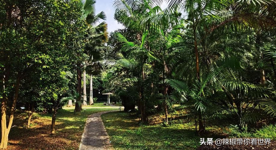 海岸线：海南岛西海岸之儋州——找寻隐秘在千年时光里的独特美景