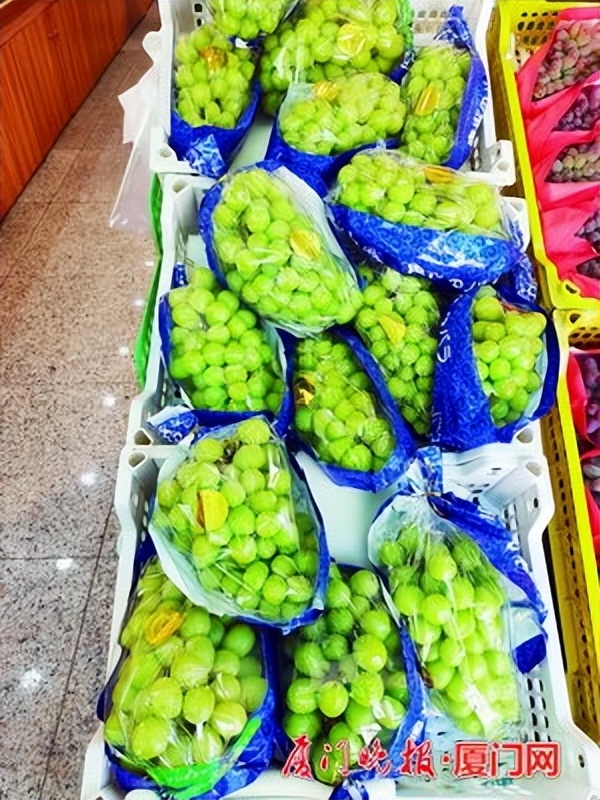 最便宜的爱马仕中古店,爱马仕青提