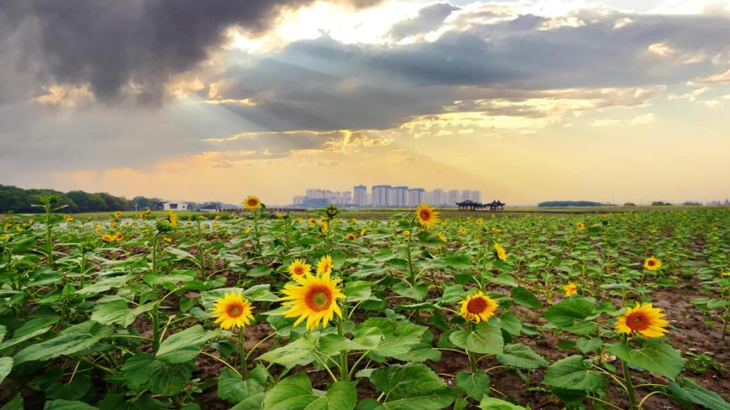 家门口的体育广场,家门口的健身场就是这么燃