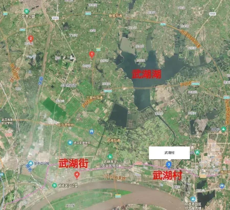 黄陂武湖的历史,武汉新洲武湖