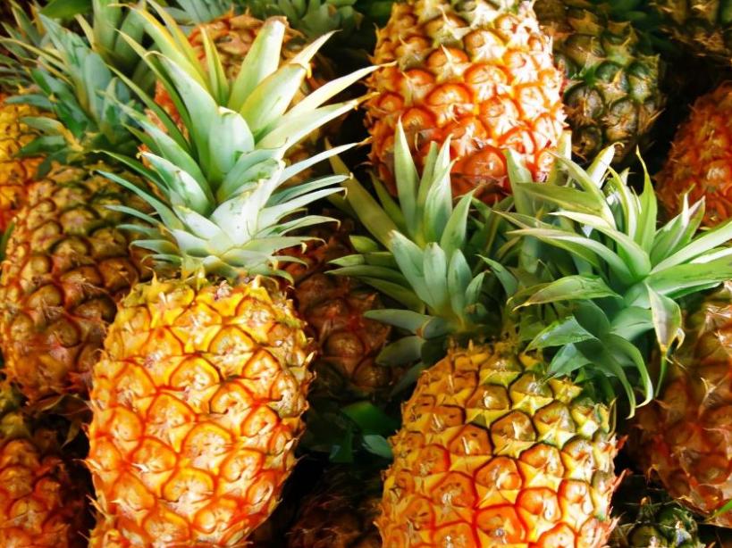 买菠萝买长买短,买菠萝大的好还是小的好